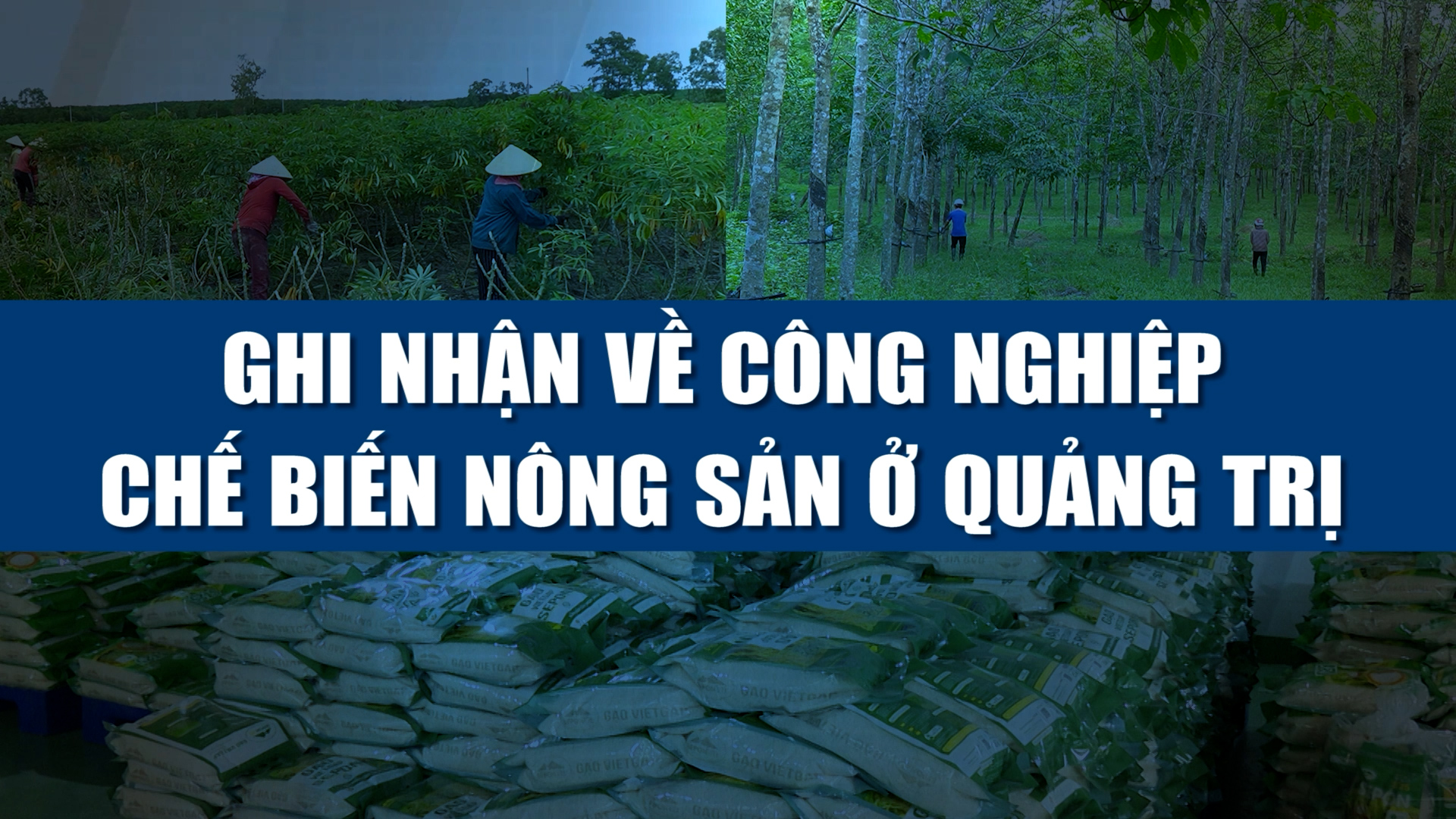 Phóng sự: Ghi nhận về công nghiệp chế biến nông sản ở Quảng Trị (07.08.2024)